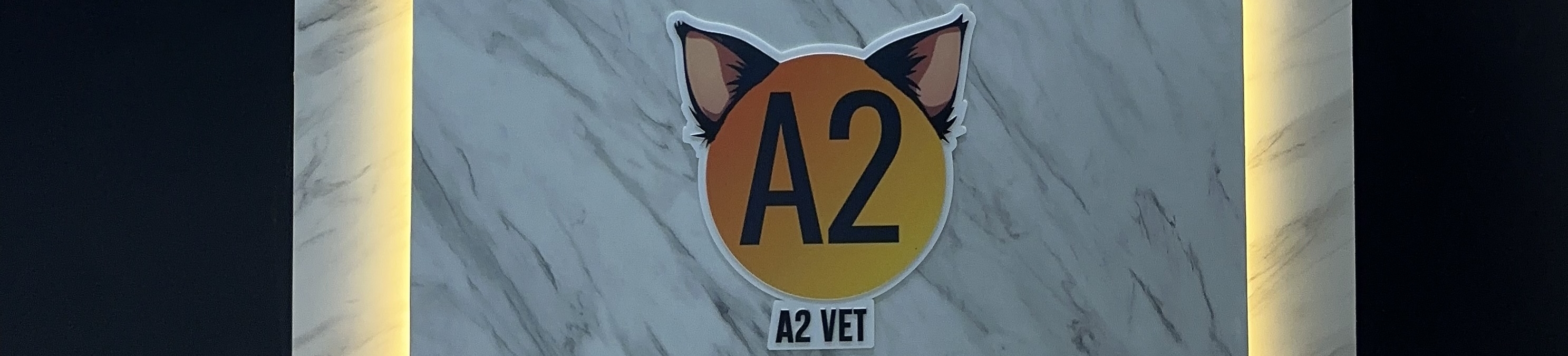 Steril Kucing di A2 VET: Solusi Aman, Murah, dan Profesional