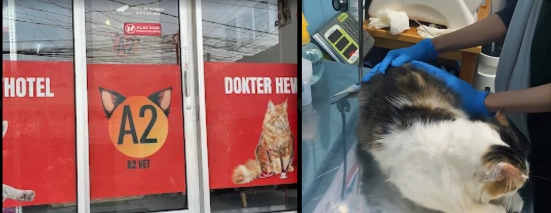 Dokter Hewan Terdekat dan Murah, ya A2 VET!