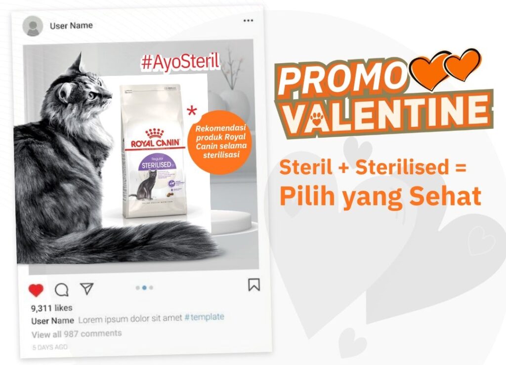PROMO VALENTINE SPESIAL: Beli Sterilised = Steril Kucing Gratis