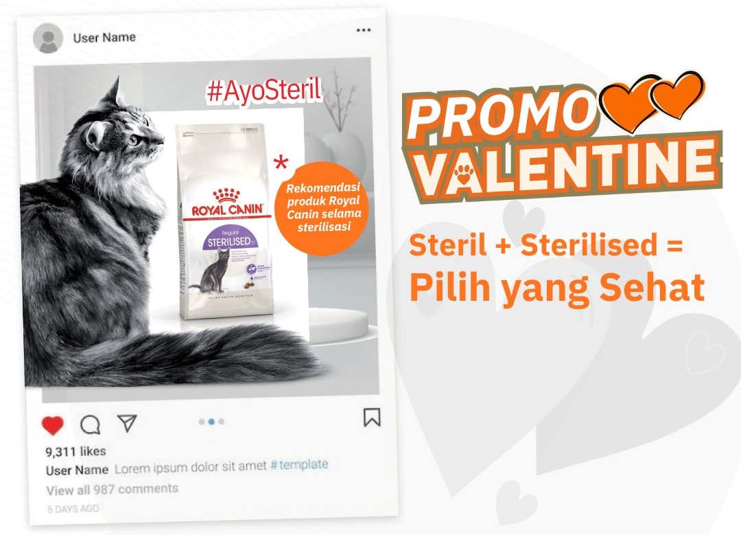 PROMO VALENTINE SPESIAL: Beli Sterilised = Steril Kucing Gratis
